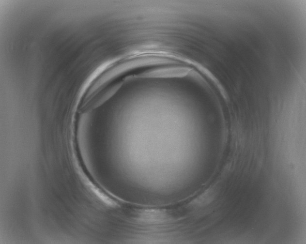 X0000083041333200702021142