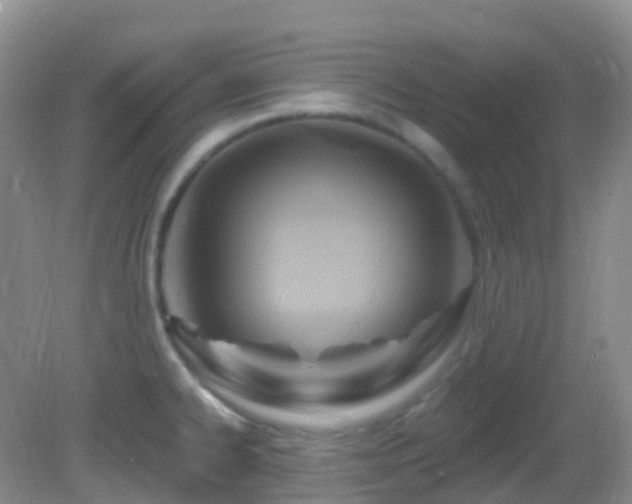 X0000083041334200702021142