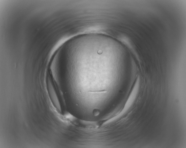 X0000083041336200702021142