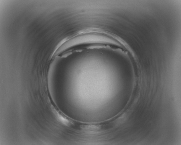 X0000083041337200702021142