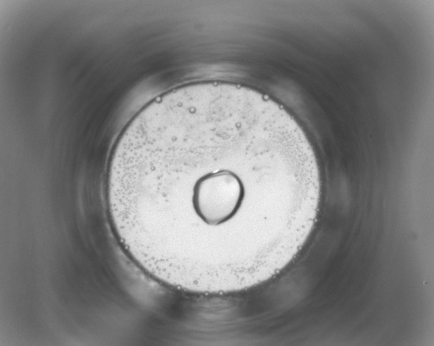 X0000083041338200702021142