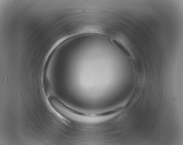 X0000083041339200702021142