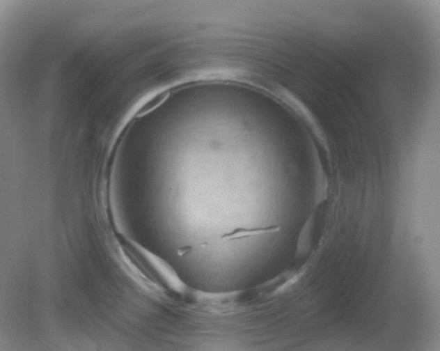 X0000083041340200702021142