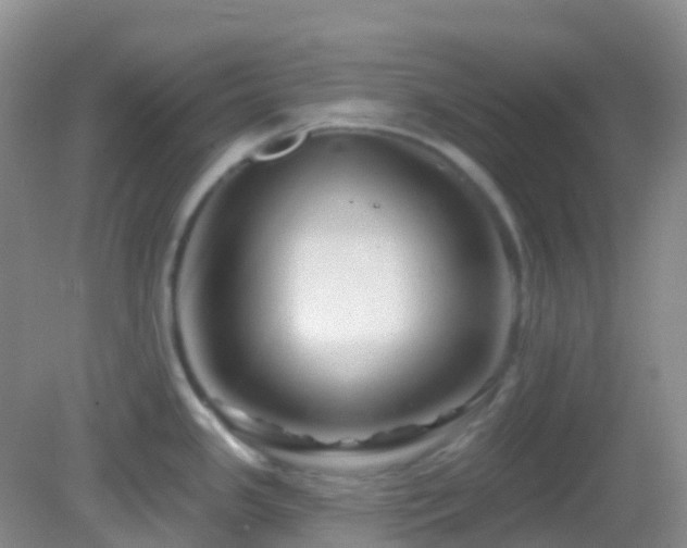 X0000083041341200702021142