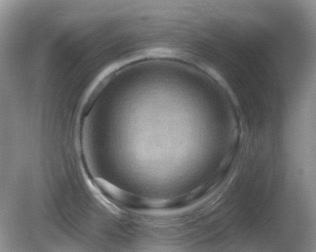 X0000083041342200702021142