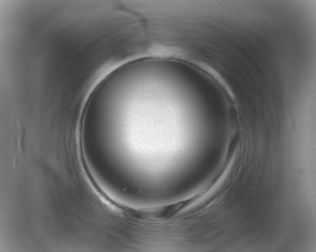 X0000083041343200702021142