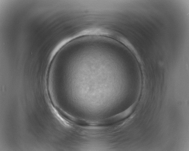 X0000083041344200702021142