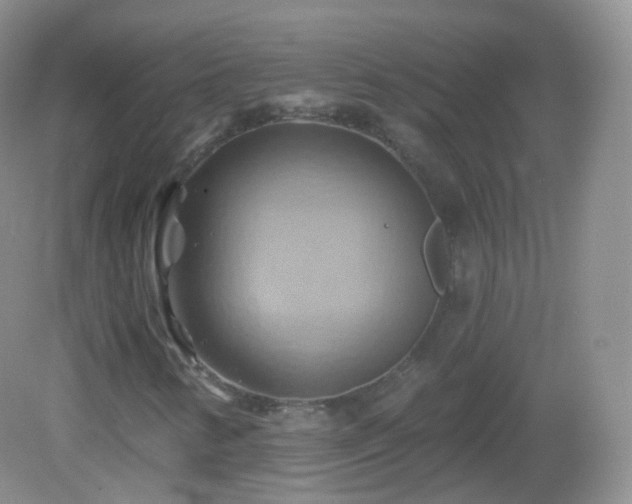 X0000083041346200702021141