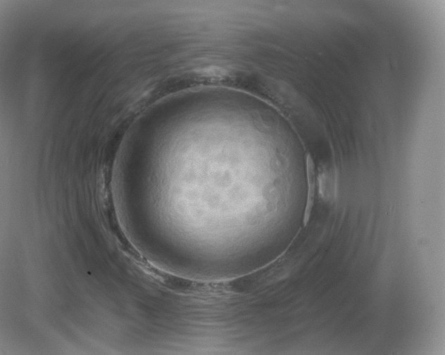 X0000083041347200702021141