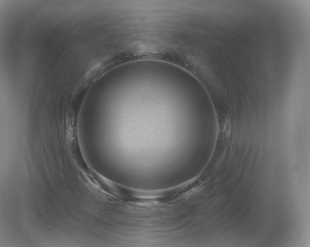 X0000083041348200702021141