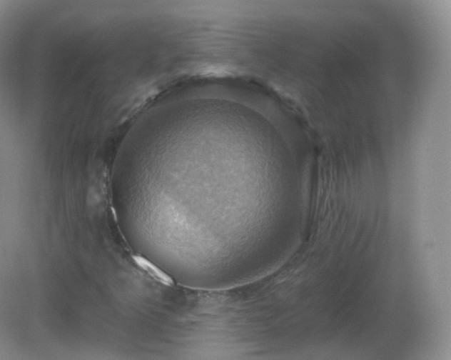 X0000083041349200702021141