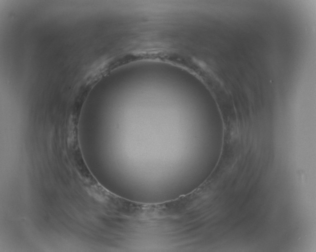 X0000083041350200702021141