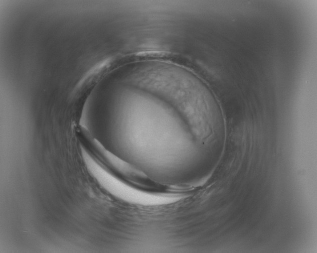 X0000083041351200702021141