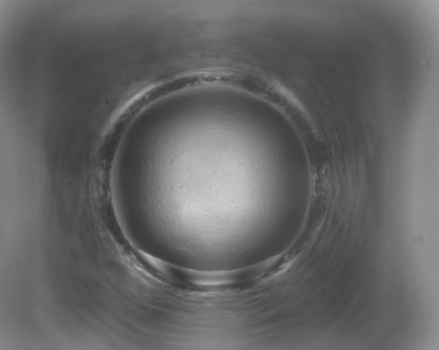 X0000083041352200702021141