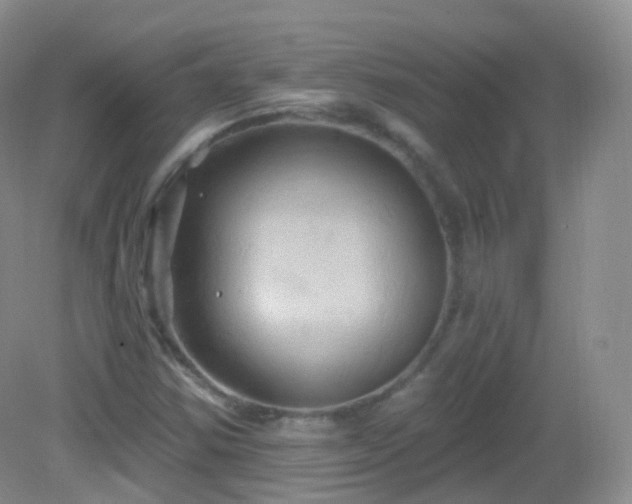 X0000083041354200702021141