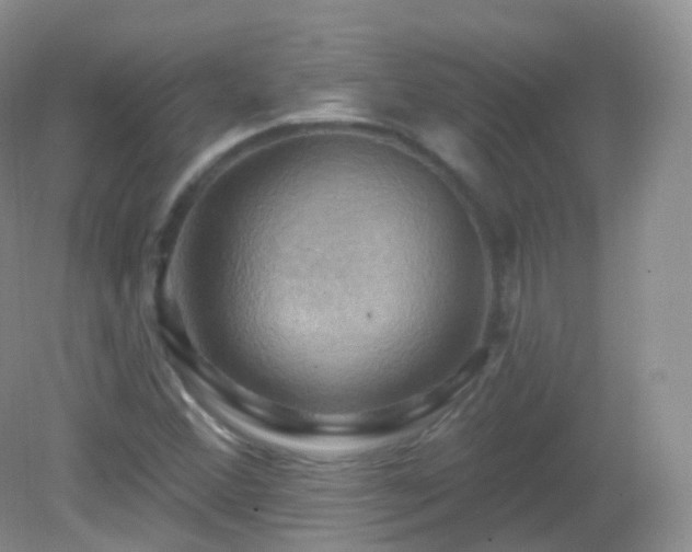 X0000083041356200702021141