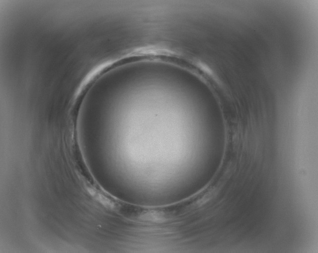 X0000083041358200702021141