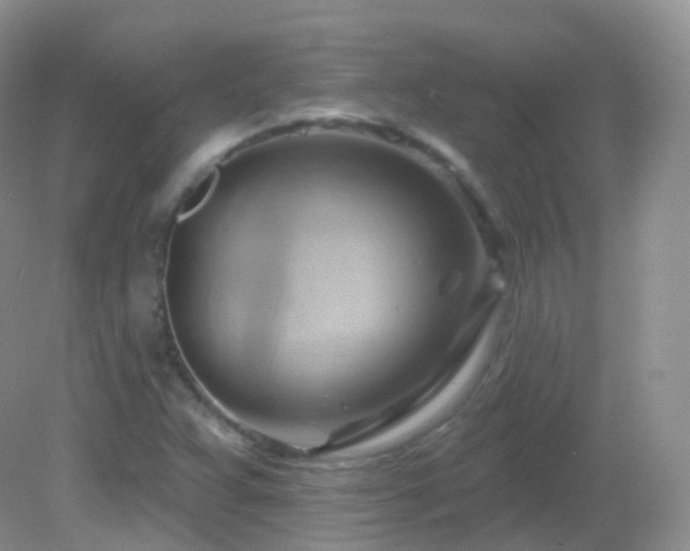 X0000083041359200702021141