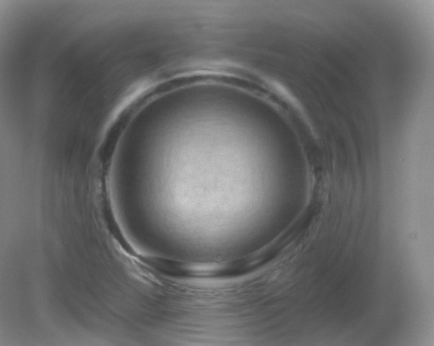 X0000083041360200702021141