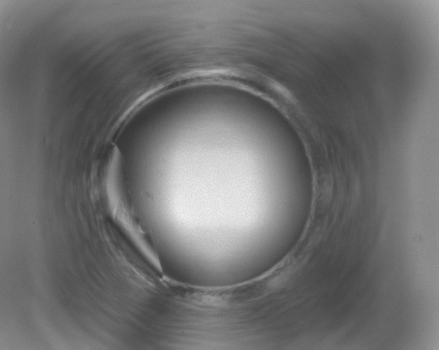 X0000083041361200702021141