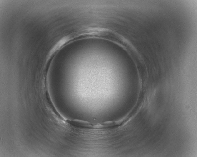 X0000083041362200702021141