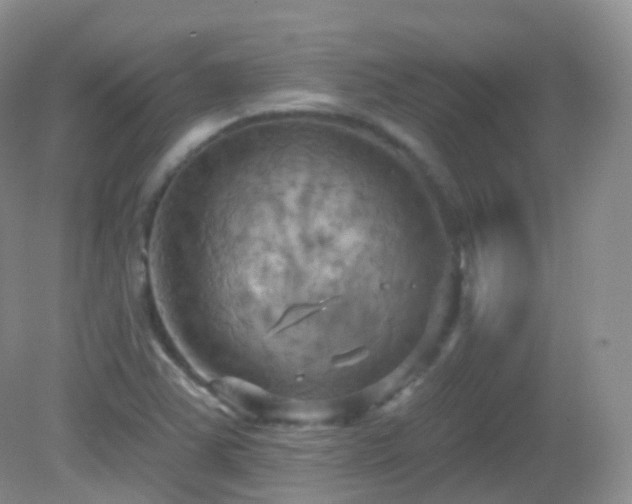 X0000083041363200702021141