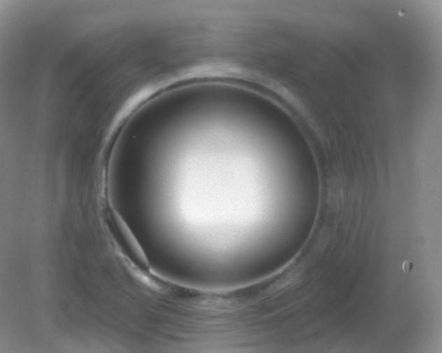 X0000083041366200702021141