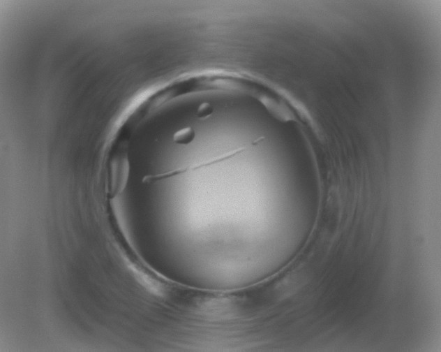 X0000083041367200702021141