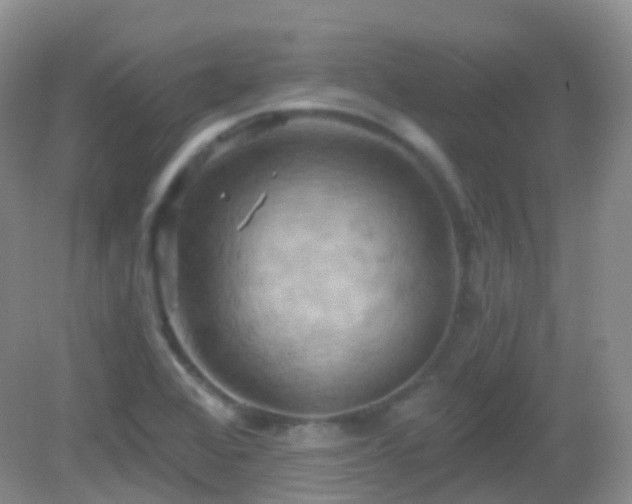 X0000083041368200702021141