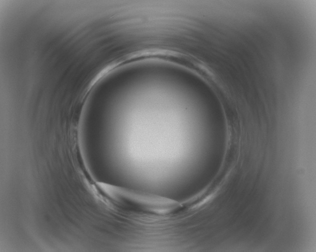 X0000083041369200702021141