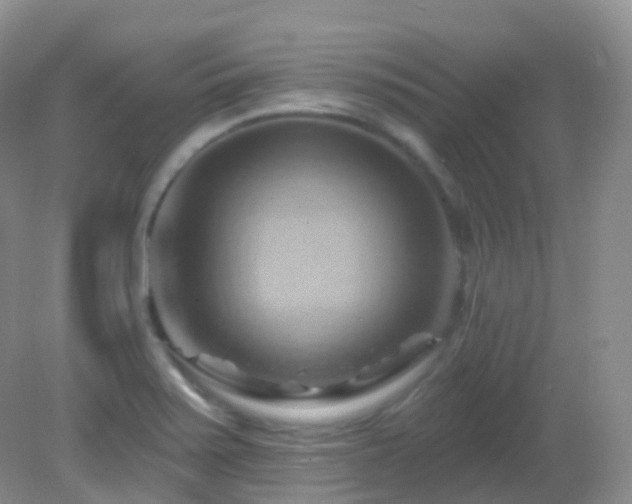 X0000083041371200702021141