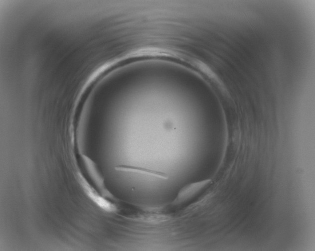 X0000083041372200702021141