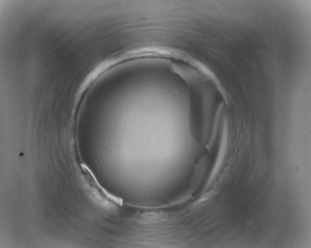 X0000083041373200702021141