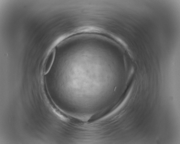 X0000083041375200702021141