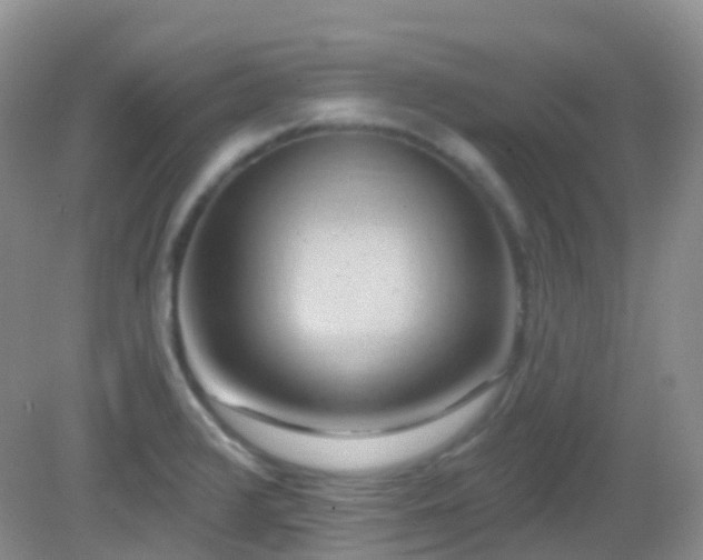 X0000083041376200702021141