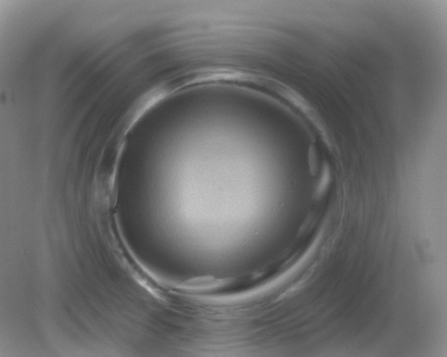 X0000083041377200702021141