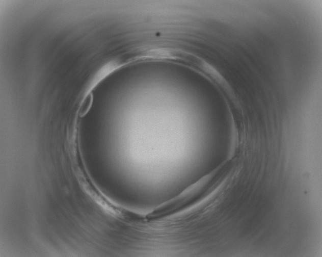 X0000083041378200702021141