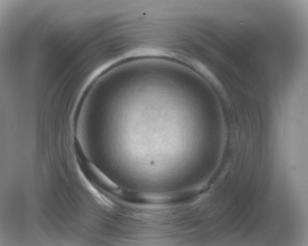 X0000083041380200702021140