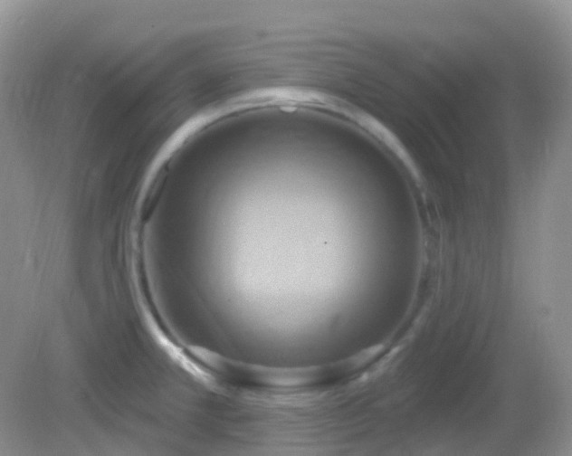 X0000083041381200702021140