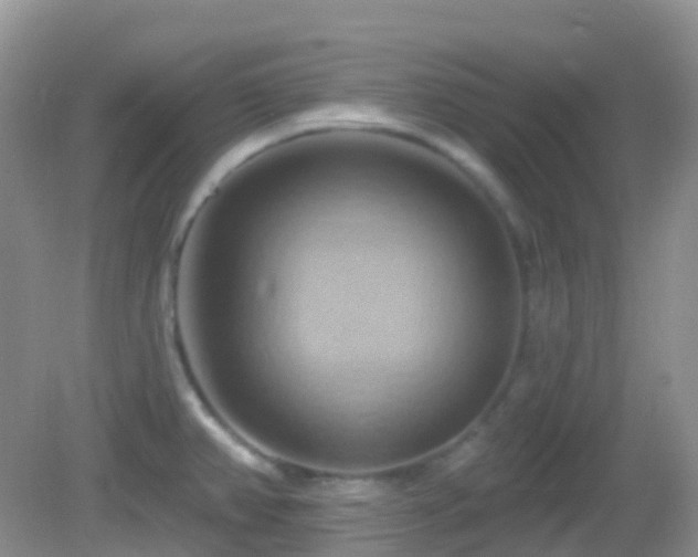 X0000083041382200702021140