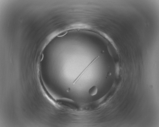 X0000083041383200702021140