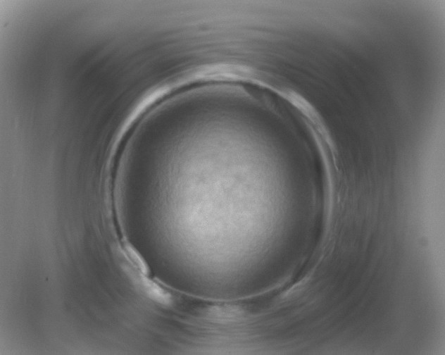 X0000083041384200702021140