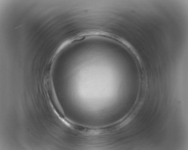 X0000083041385200702021140