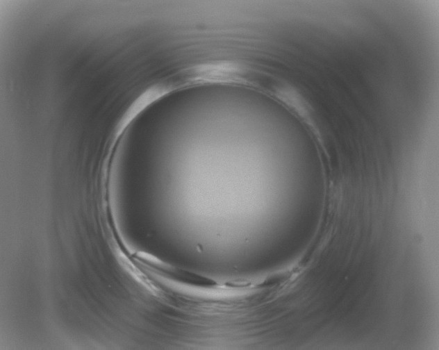 X0000083041386200702021140