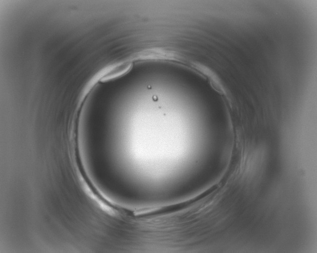 X0000083041387200702021140