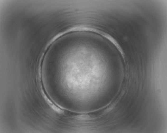 X0000083041388200702021140