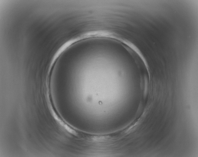 X0000083041389200702021140