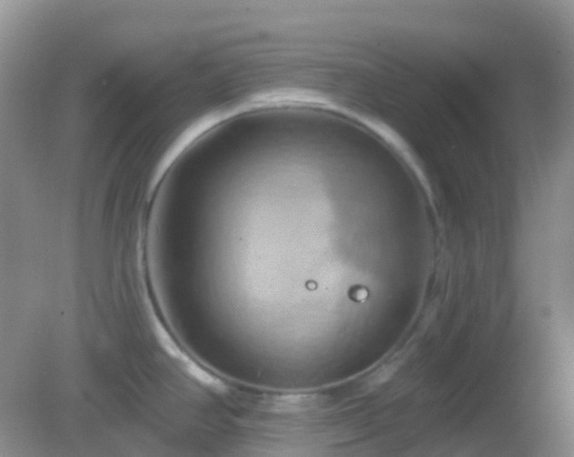 X0000083041390200702021140