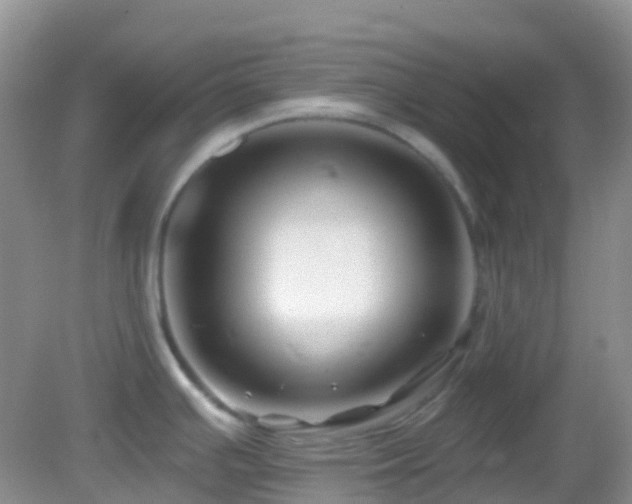 X0000083041391200702021140