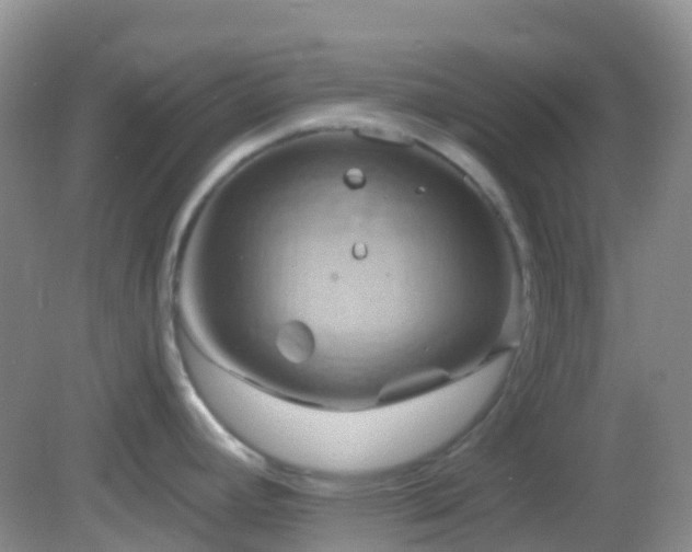 X0000083041392200702021140